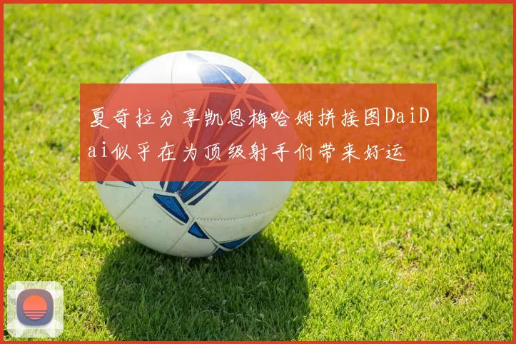 夏奇拉分享凯恩梅哈姆拼接图DaiDai似乎在为顶级射手们带来好运